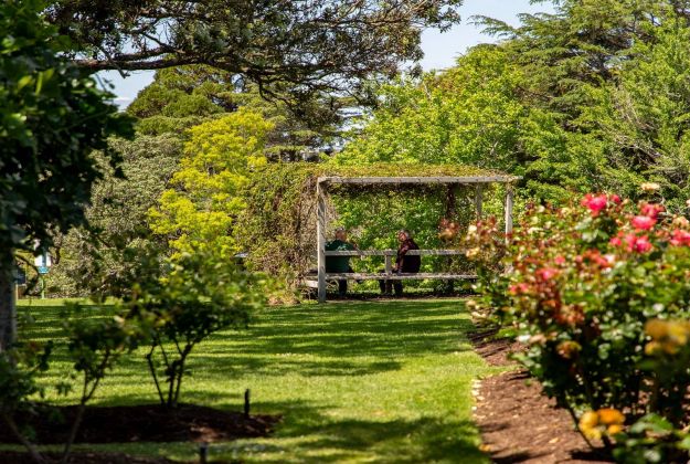 Rose Gardens