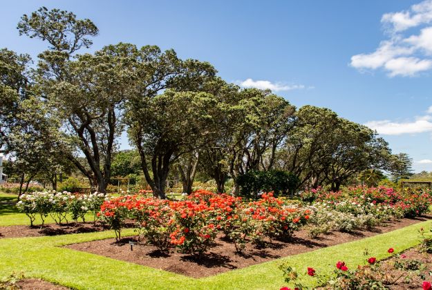 Surrounding area - Rose gardens