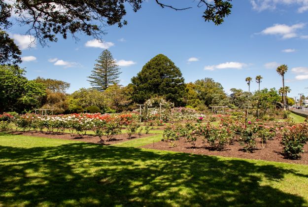 Surrounding area - Rose gardens